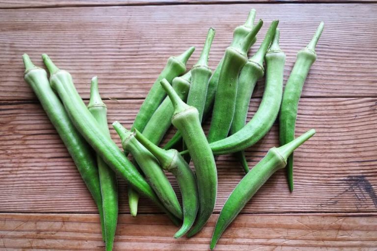 Cos è l okra e come utilizzarla in cucina BACCHETTE E POMODORO