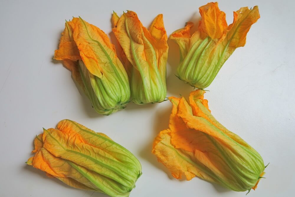 無料印刷可能ズッキーニ 花 レシピ 最高の花の画像