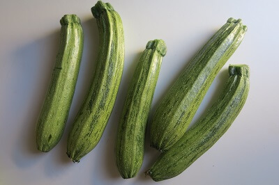 ズッキーニ zucchine chiare
