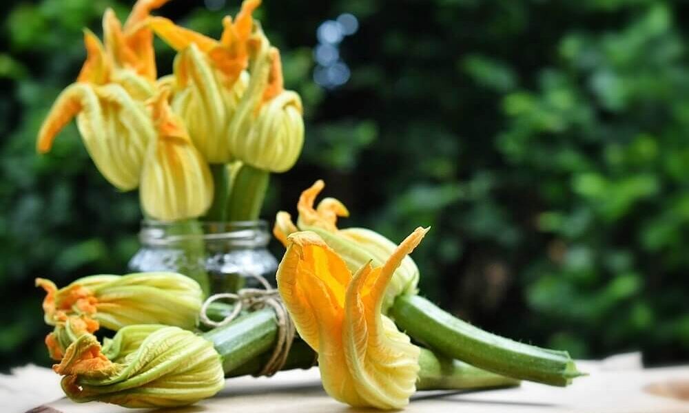 花ズッキーニの食べ方 fiori di zucca